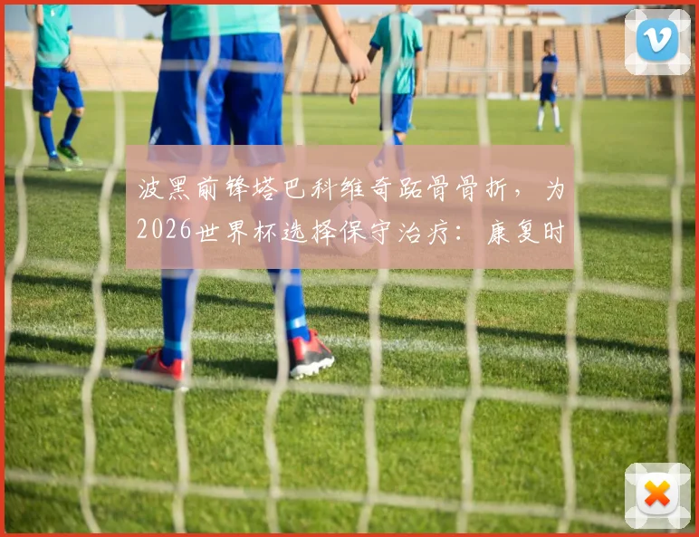 波黑前锋塔巴科维奇跖骨骨折,为2026世界杯选择保守治疗:康复时间与世界杯前景分析