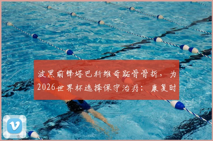 波黑前锋塔巴科维奇跖骨骨折，为2026世界杯选择保守治疗：康复时间与世界杯前景分析